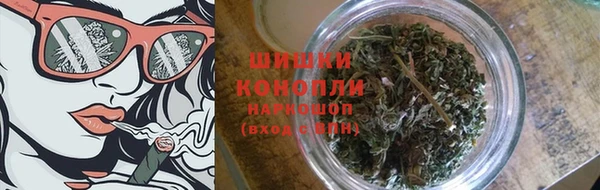 индика Нягань