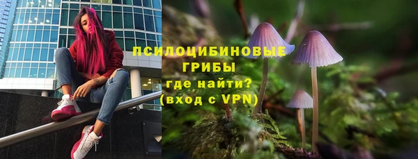 apvp Баксан